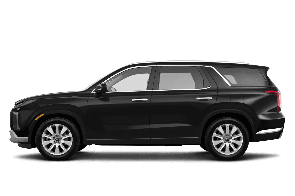 Hyundai Palisade  - Side view Hyundai Palisade  - Side view